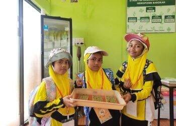 Serunya Siswa SD Belajar Hidroponik di Gerai Energi Pertamina EP Jambi Field