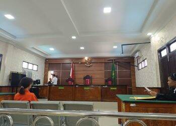 Petani Jalani Sidang Perdananya, WALHI Jambi: Rakyat Kecil Selalu Jadi Contoh Penegakan Hukum