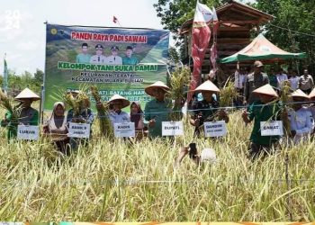Bupati Fadhil Ajak Masyarakat Lihat Peluang Usaha