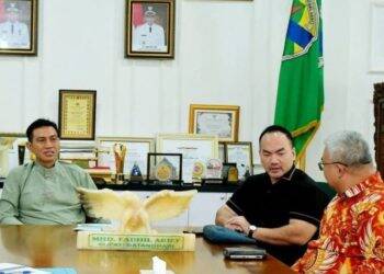 Bupati Fadhil Terima Audiensi Perusahaan dari Negara Cina