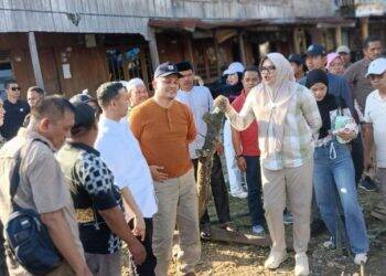 Bupati dan Wakil Bupati Turun Langsung Tengok Jembatan Ambruk