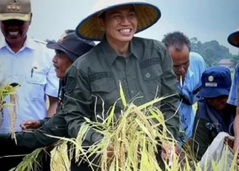 Bupati Batang Hari: Anak Muda Harus Jadi Petani Cerdas