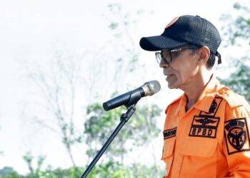 Berikut Kecamatan di Batang Hari Rawan Karhutla, Perlu Diawasi Ketat