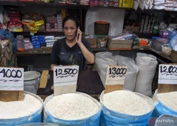 LPKNI Sebut Penyaluran Beras SPHP Bermasalah