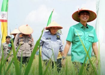 Fadhil Arief Wujudkan Petani Terusan Sejahtera