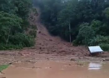 Waspadalah Warga Sonsang, Longsor dan Banjir Bandang Mengintai, Tanam Bukit-bukit Itu Lagi