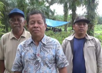Waduh! 1.500 KK di Inhu Tolak Kebun Sawit Dikelola PT Agrinas Palma Nusantara