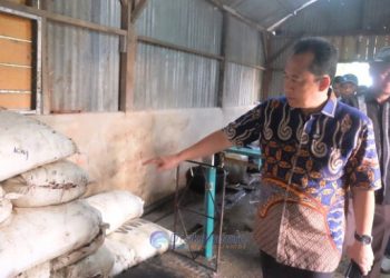 Bupati BBS Tengok Langsung Stasiun Mitra Aksi Pembudidayaan Ikan Air Tawar