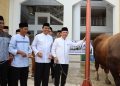 Gubernur Al Haris Serahkan Sapi Kurban Presiden Prabowo 