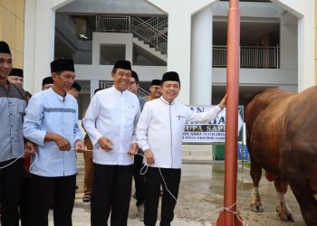 Gubernur Al Haris Serahkan Sapi Kurban Presiden Prabowo 