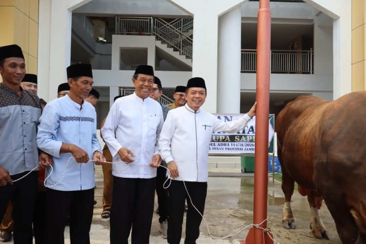 Gubernur Al Haris Serahkan Sapi Kurban Presiden Prabowo 