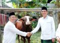 Bupati Batang Hari Serahkan Hewan Qurban Presiden RI di Masjid Asy-Syuhada