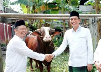 Bupati Batang Hari Serahkan Hewan Qurban Presiden RI di Masjid Asy-Syuhada