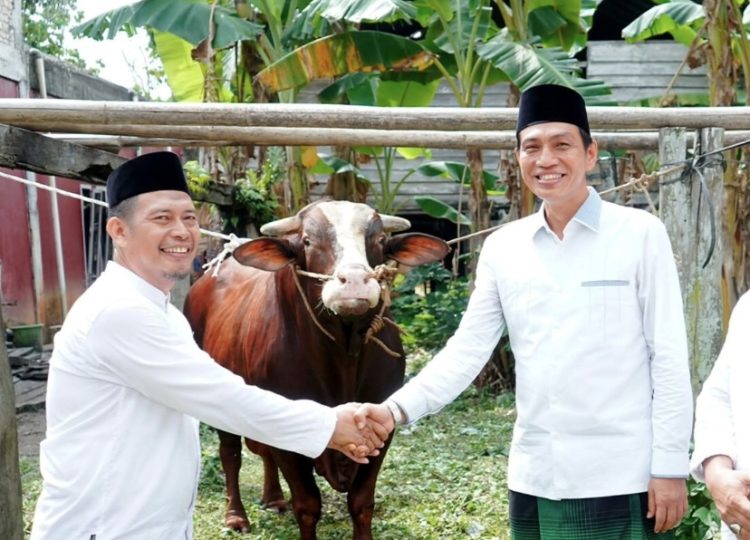 Bupati Batang Hari Serahkan Hewan Qurban Presiden RI di Masjid Asy-Syuhada