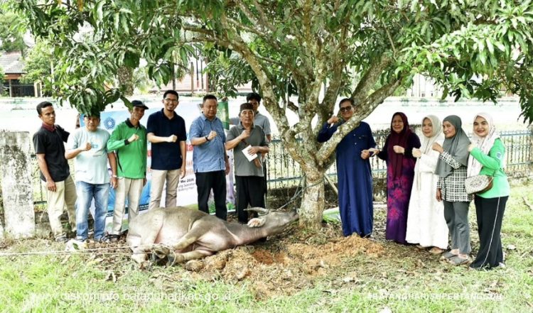 Tebarkan Kebahagiaan Idul Adha, TP-PKK Batang Hari Salurkan Daging Qurban ke Panti Asuhan, Ponpes, dan Warga
